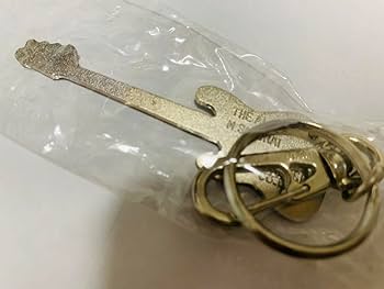 Amazon.co.jp: 中 THE ALFEE 桜井賢 ベース キーホルダー : おもちゃ